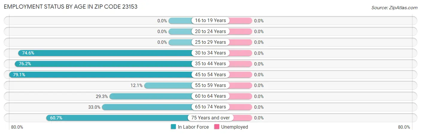 Employment Status by Age in Zip Code 23153