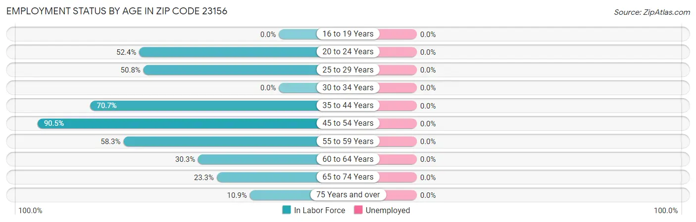 Employment Status by Age in Zip Code 23156