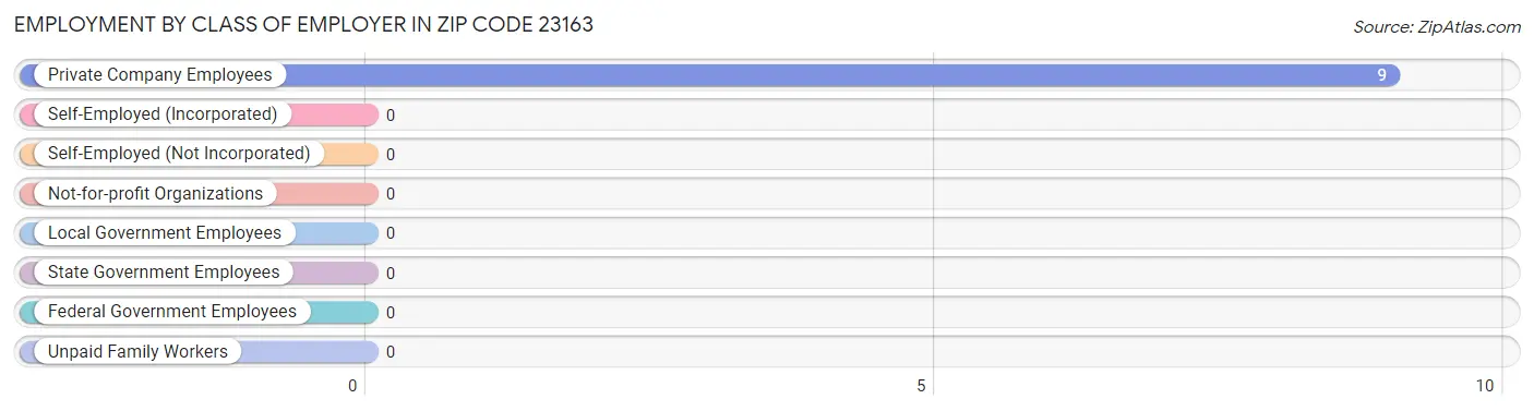 Employment by Class of Employer in Zip Code 23163