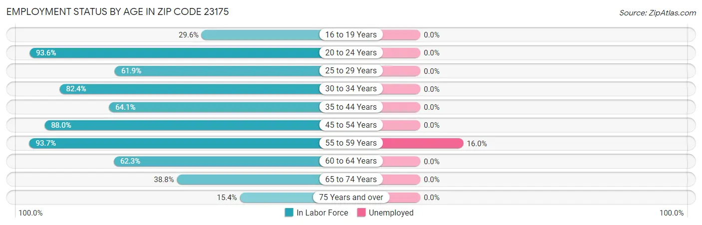 Employment Status by Age in Zip Code 23175