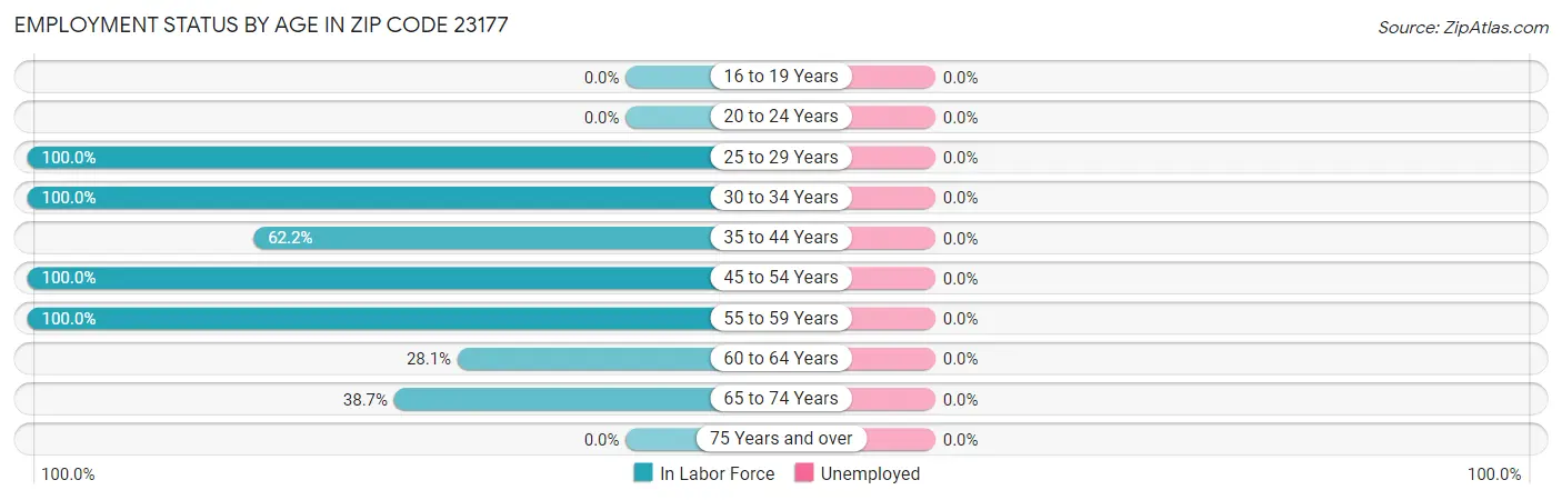Employment Status by Age in Zip Code 23177