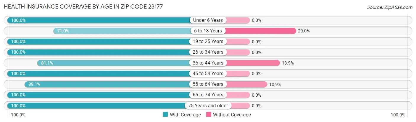 Health Insurance Coverage by Age in Zip Code 23177