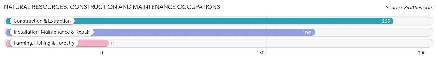 Natural Resources, Construction and Maintenance Occupations in Zip Code 23181