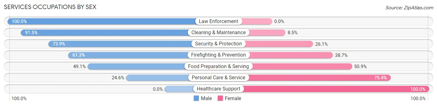 Services Occupations by Sex in Zip Code 23181