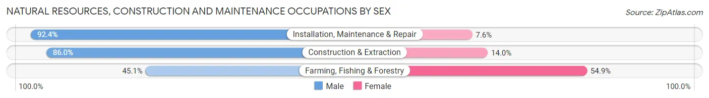 Natural Resources, Construction and Maintenance Occupations by Sex in Zip Code 23185