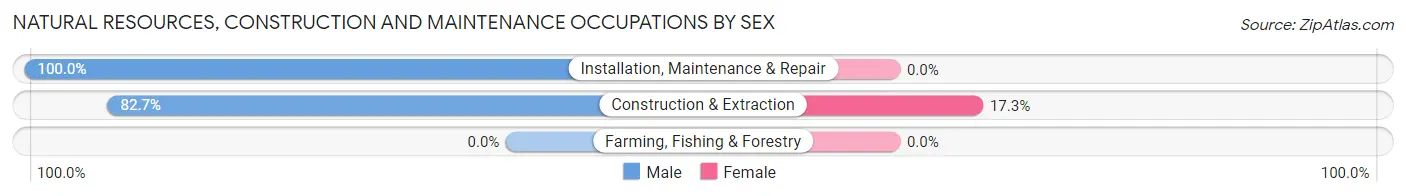 Natural Resources, Construction and Maintenance Occupations by Sex in Zip Code 23192