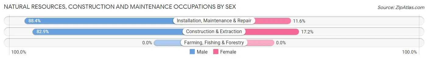 Natural Resources, Construction and Maintenance Occupations by Sex in Zip Code 23222