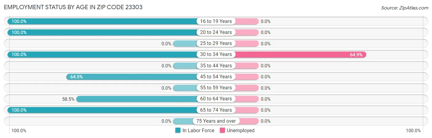 Employment Status by Age in Zip Code 23303