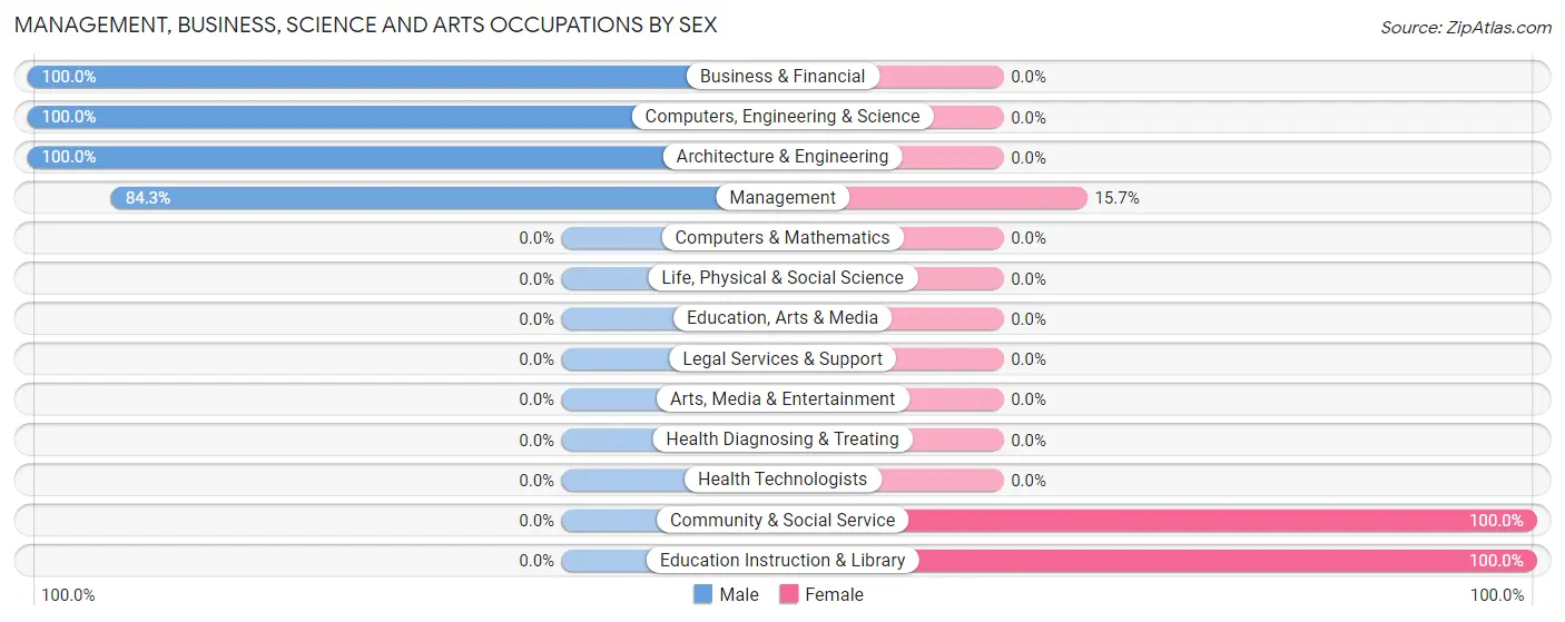 Management, Business, Science and Arts Occupations by Sex in Zip Code 23303