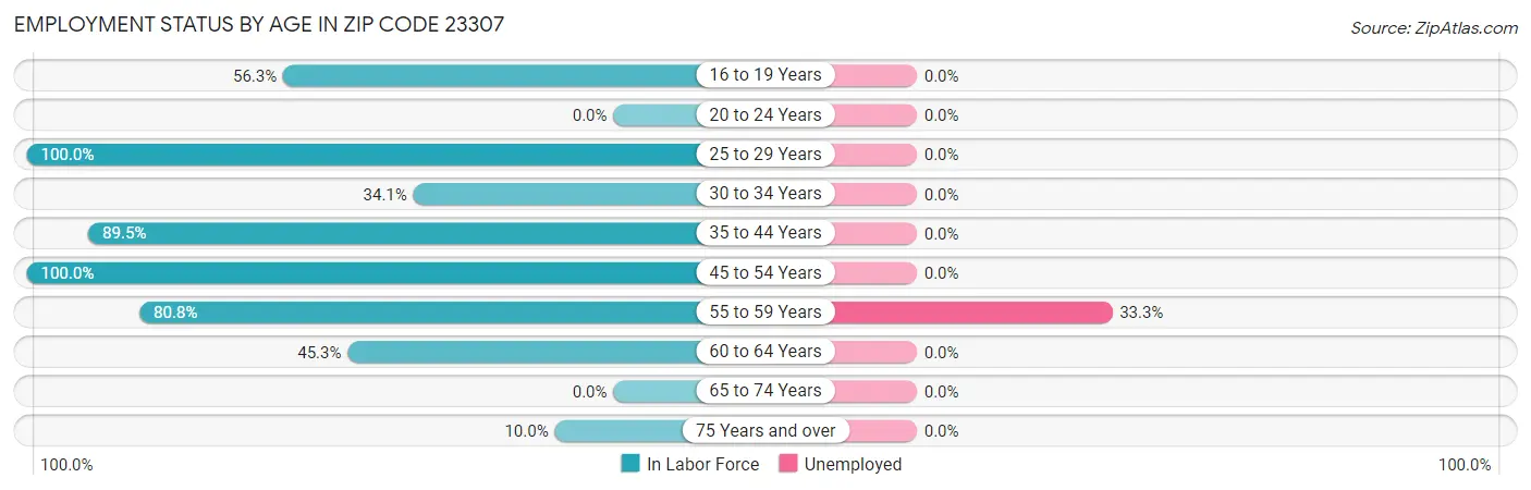 Employment Status by Age in Zip Code 23307