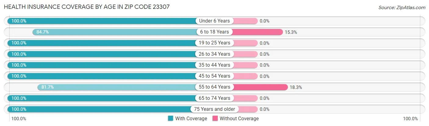 Health Insurance Coverage by Age in Zip Code 23307