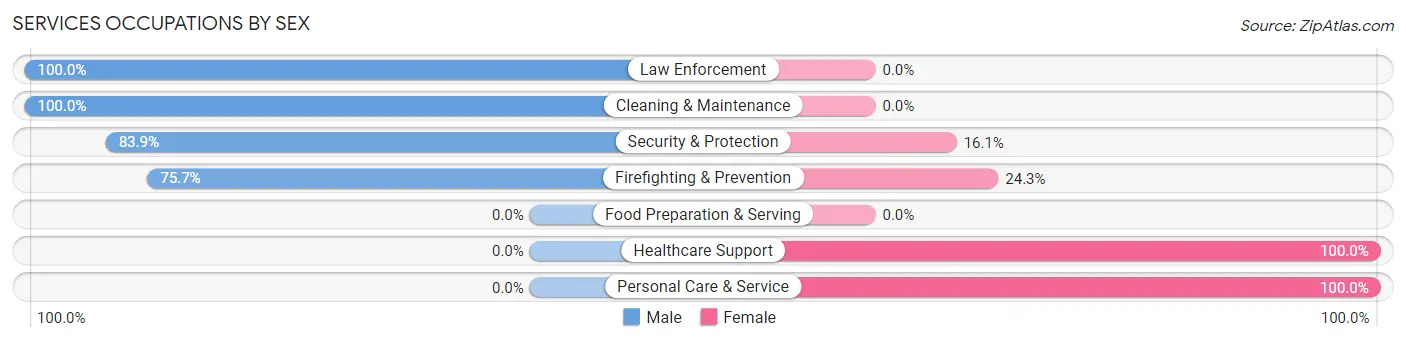 Services Occupations by Sex in Zip Code 23315