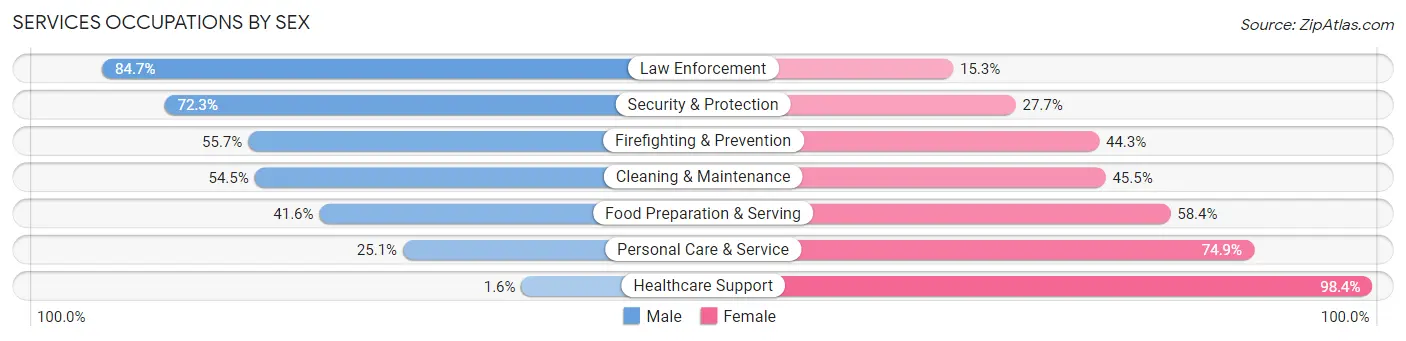 Services Occupations by Sex in Zip Code 23324