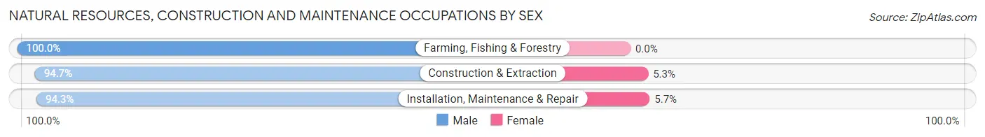 Natural Resources, Construction and Maintenance Occupations by Sex in Zip Code 23325