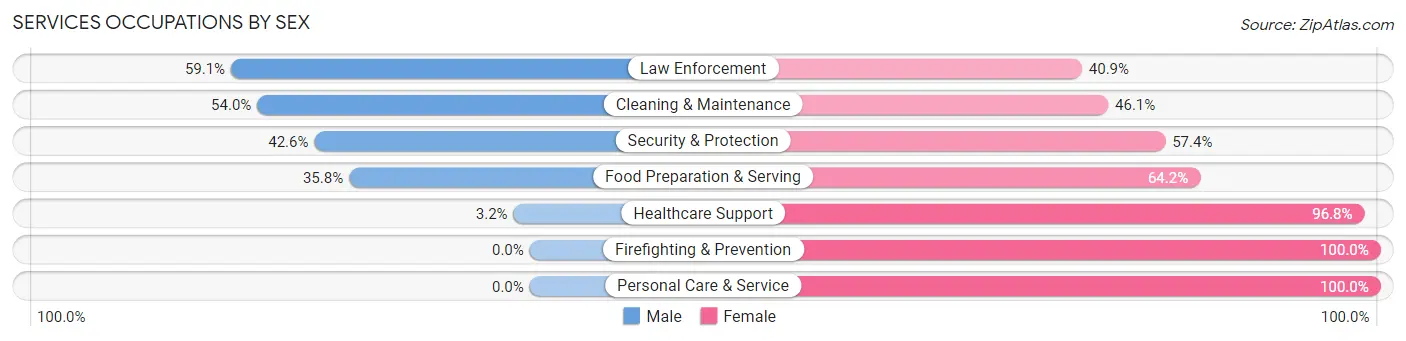 Services Occupations by Sex in Zip Code 23325