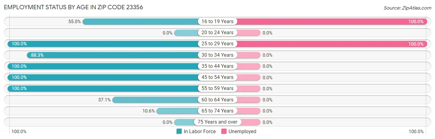 Employment Status by Age in Zip Code 23356