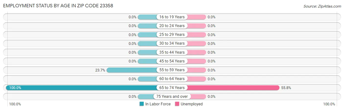 Employment Status by Age in Zip Code 23358