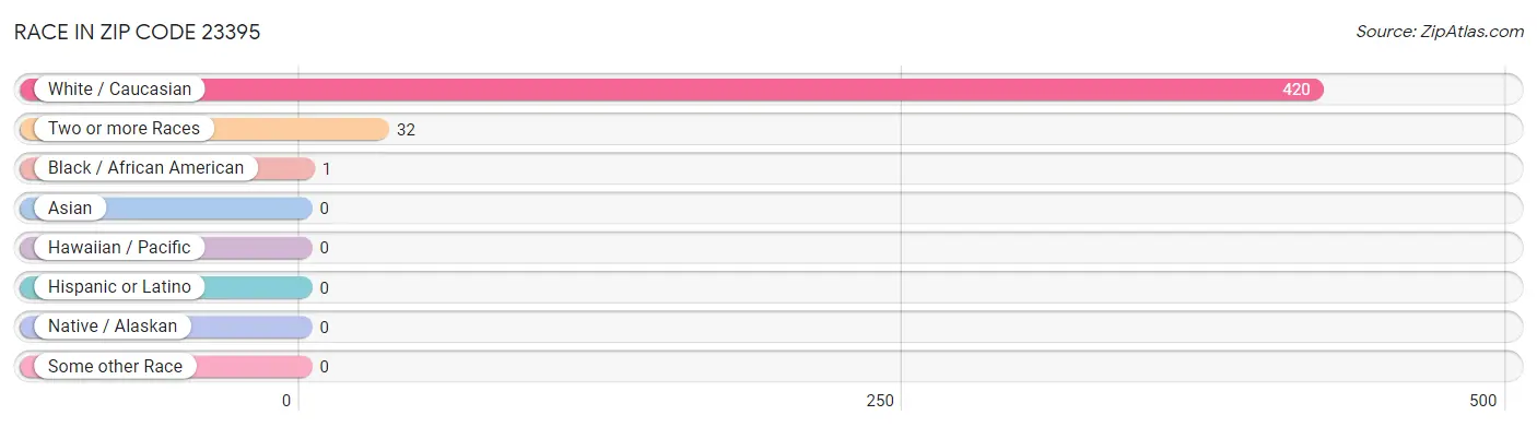 Race in Zip Code 23395