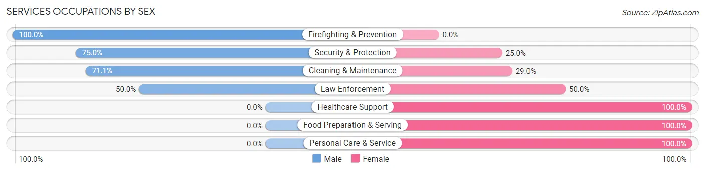 Services Occupations by Sex in Zip Code 23410
