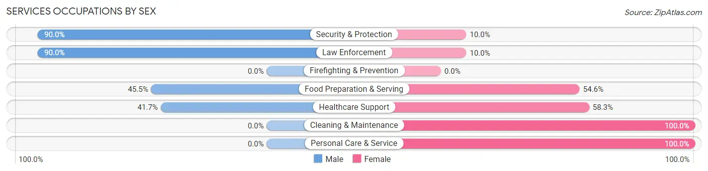 Services Occupations by Sex in Zip Code 23413