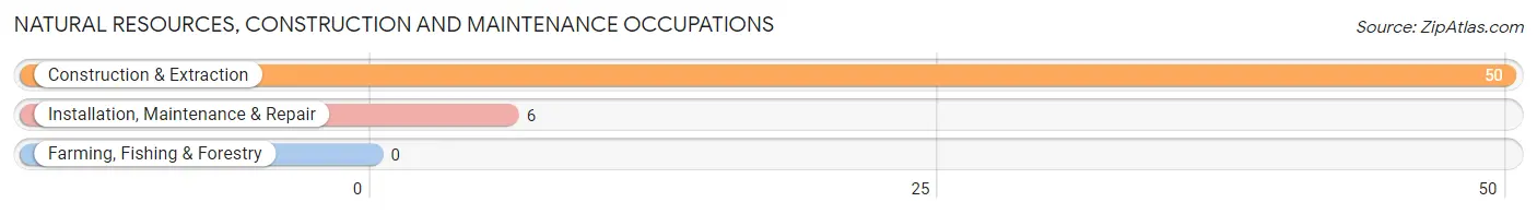 Natural Resources, Construction and Maintenance Occupations in Zip Code 23433