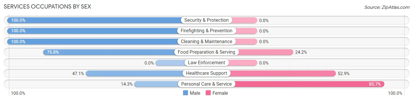 Services Occupations by Sex in Zip Code 23438