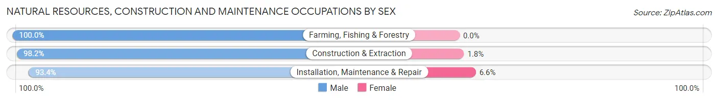 Natural Resources, Construction and Maintenance Occupations by Sex in Zip Code 23452