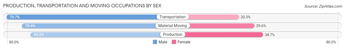 Production, Transportation and Moving Occupations by Sex in Zip Code 23454