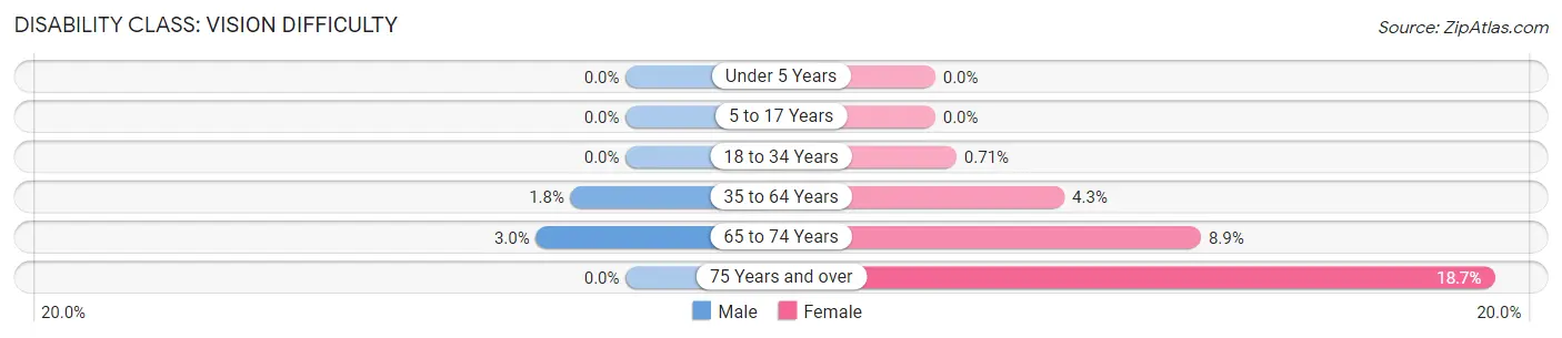 Disability in Zip Code 23487: <span>Vision Difficulty</span>