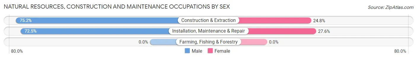 Natural Resources, Construction and Maintenance Occupations by Sex in Zip Code 23510