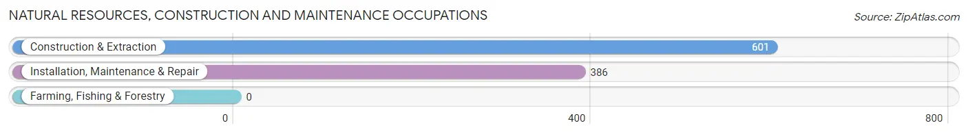 Natural Resources, Construction and Maintenance Occupations in Zip Code 23601