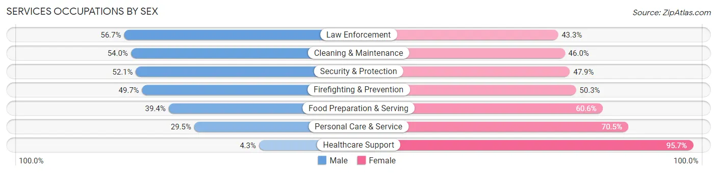 Services Occupations by Sex in Zip Code 23601