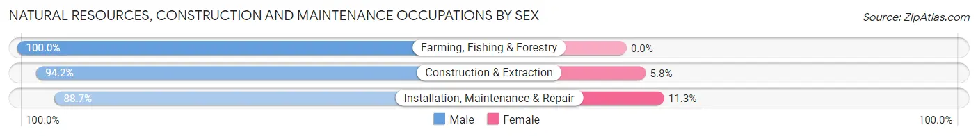 Natural Resources, Construction and Maintenance Occupations by Sex in Zip Code 23602