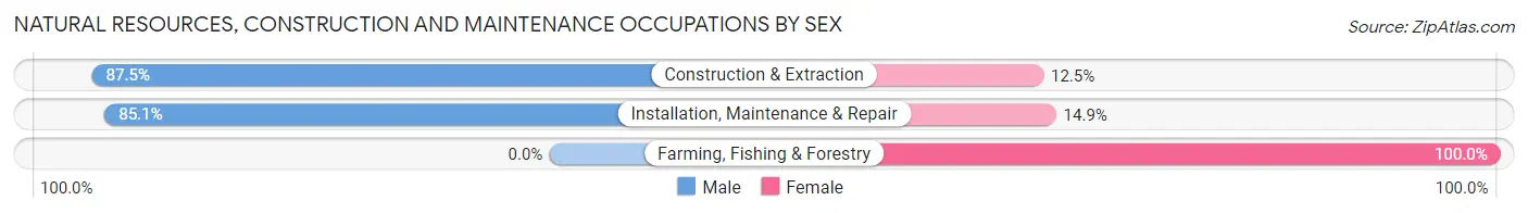 Natural Resources, Construction and Maintenance Occupations by Sex in Zip Code 23605