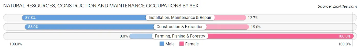 Natural Resources, Construction and Maintenance Occupations by Sex in Zip Code 23606