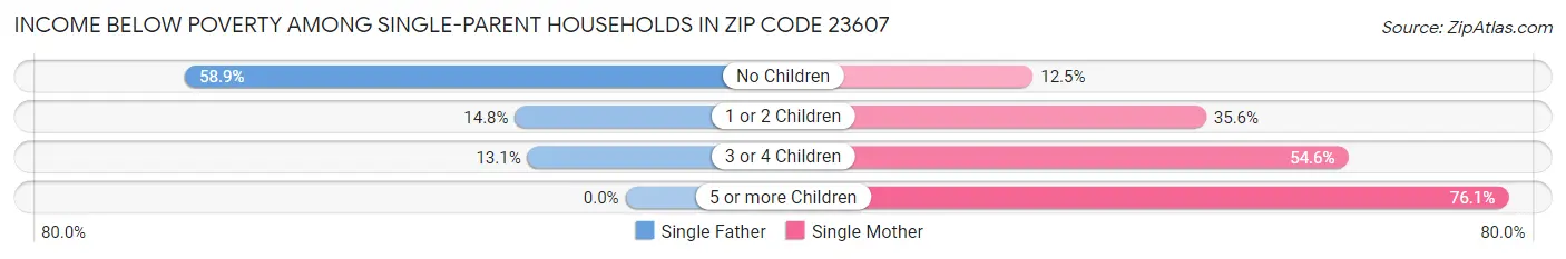 Income Below Poverty Among Single-Parent Households in Zip Code 23607