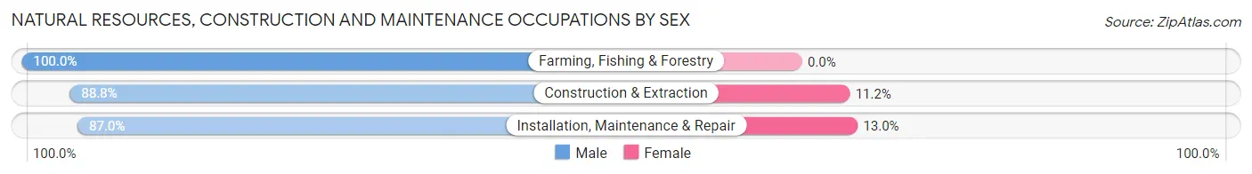 Natural Resources, Construction and Maintenance Occupations by Sex in Zip Code 23607