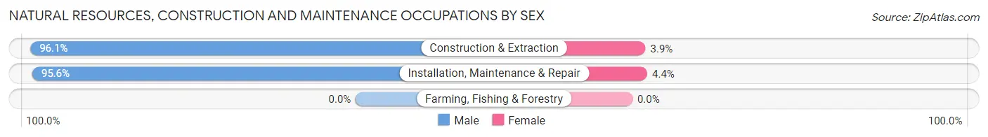 Natural Resources, Construction and Maintenance Occupations by Sex in Zip Code 23661