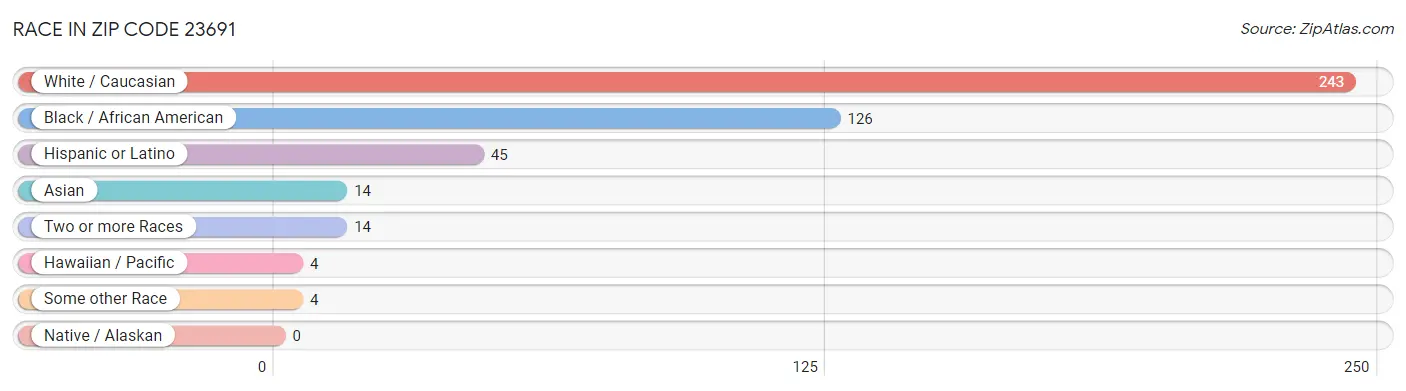 Race in Zip Code 23691