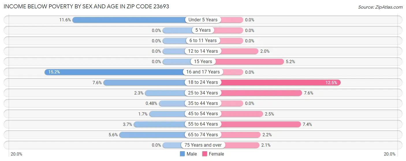 Income Below Poverty by Sex and Age in Zip Code 23693