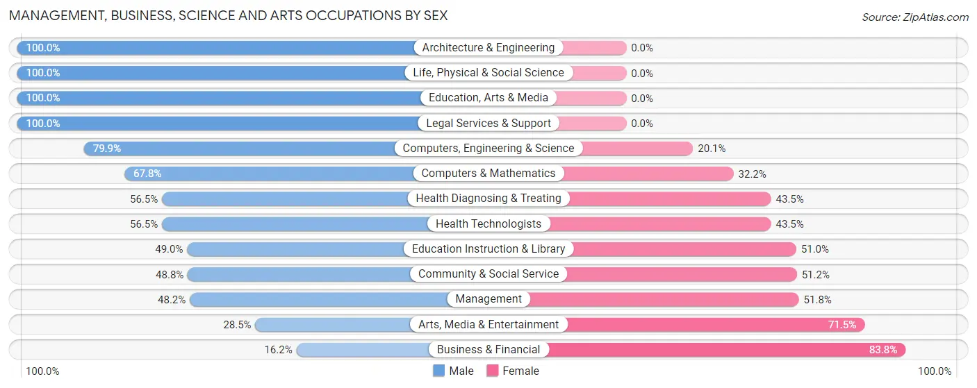 Management, Business, Science and Arts Occupations by Sex in Zip Code 23696