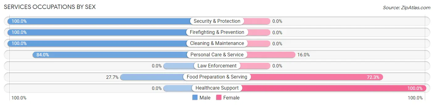 Services Occupations by Sex in Zip Code 23696