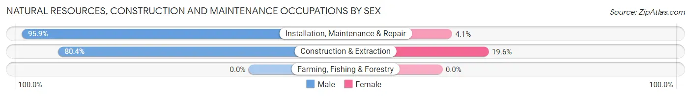 Natural Resources, Construction and Maintenance Occupations by Sex in Zip Code 23702
