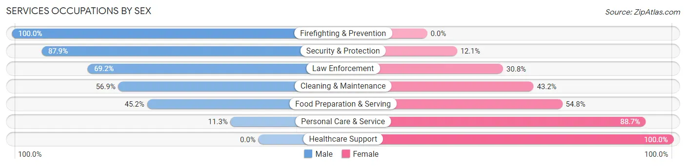 Services Occupations by Sex in Zip Code 23704