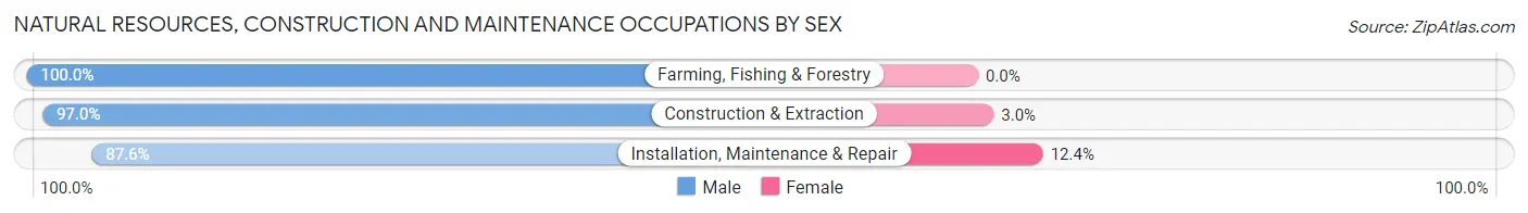 Natural Resources, Construction and Maintenance Occupations by Sex in Zip Code 23707