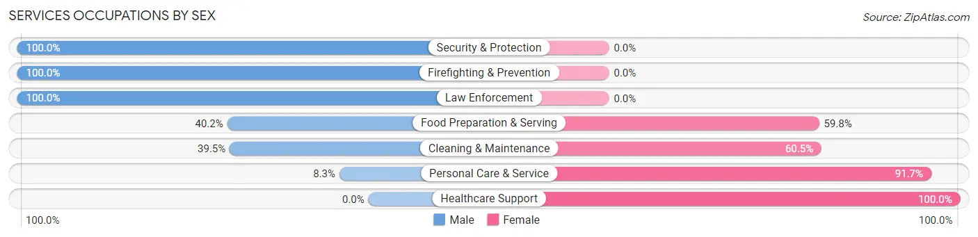 Services Occupations by Sex in Zip Code 23707