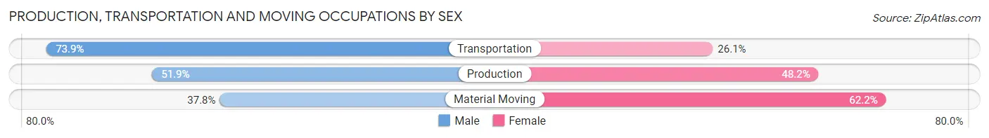 Production, Transportation and Moving Occupations by Sex in Zip Code 23824
