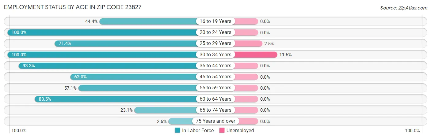 Employment Status by Age in Zip Code 23827