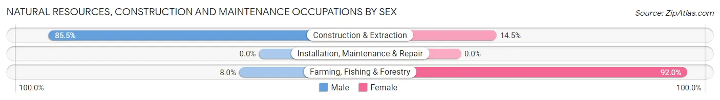Natural Resources, Construction and Maintenance Occupations by Sex in Zip Code 23827