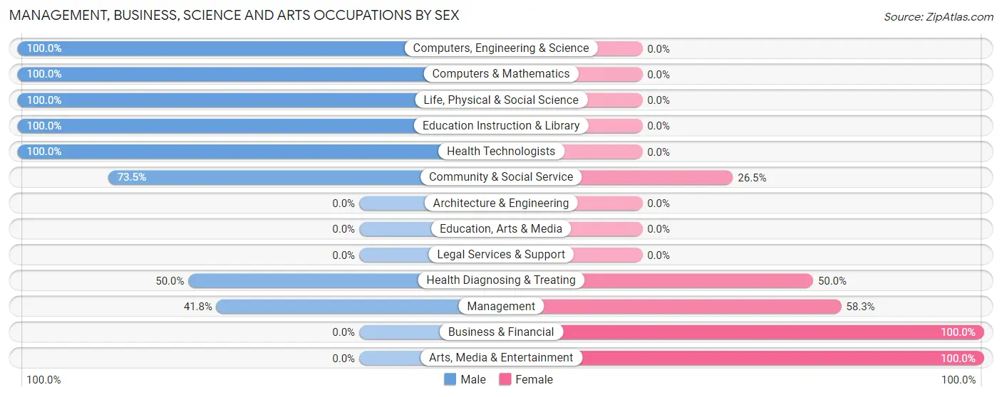 Management, Business, Science and Arts Occupations by Sex in Zip Code 23828
